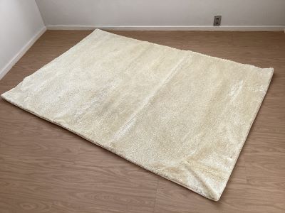 ラグ「１」W1900×H1300mm<br />
×1　※共通家具のため先着順です<br />
　　 ※事前申込は2枚までです