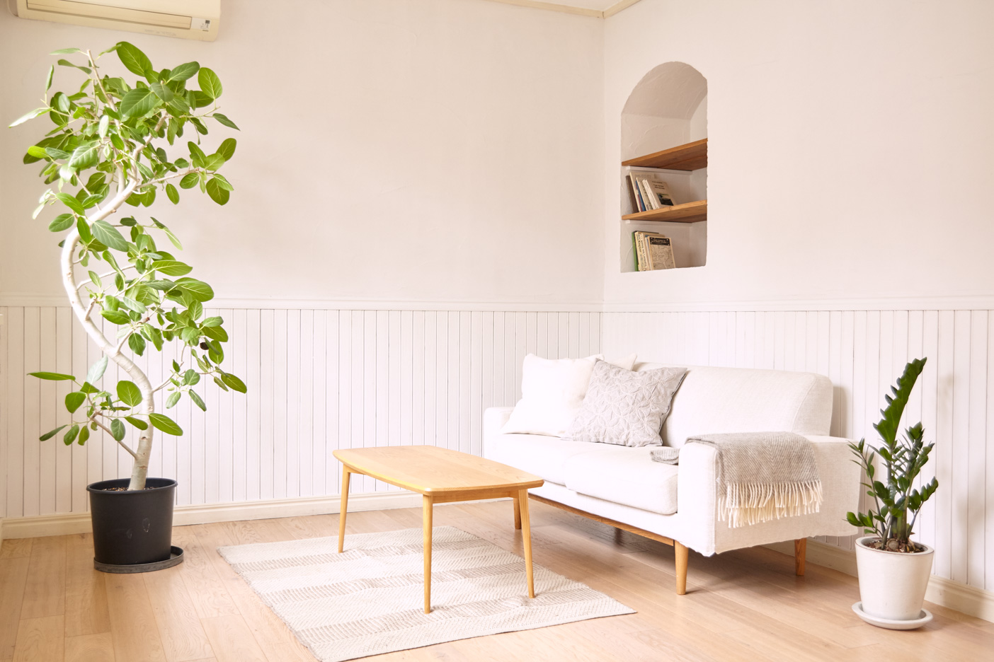 かわいいリビング・ソファ