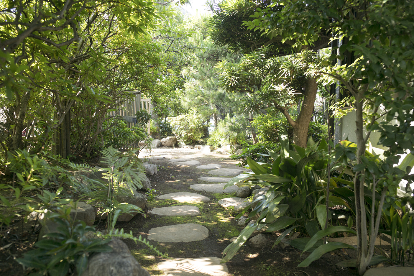 日本家屋　和　庭